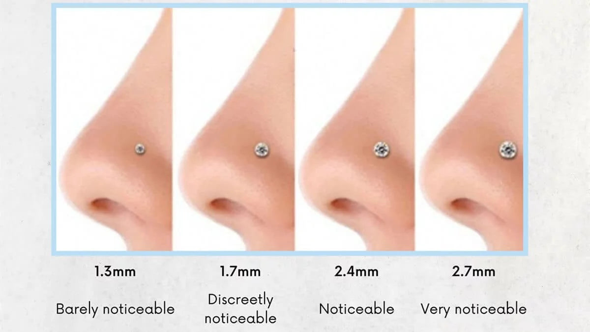 Nose Piercing Types and Nose Jewelry Guide – wormholesupply